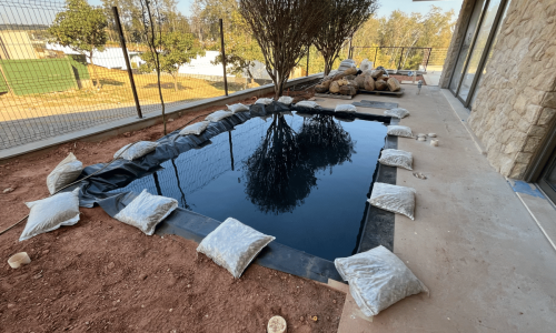 0c95d6b788464937add7cfd3d8c55bf0