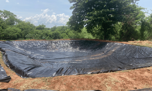 3ee9a865a607438aa7a2c866457c5525