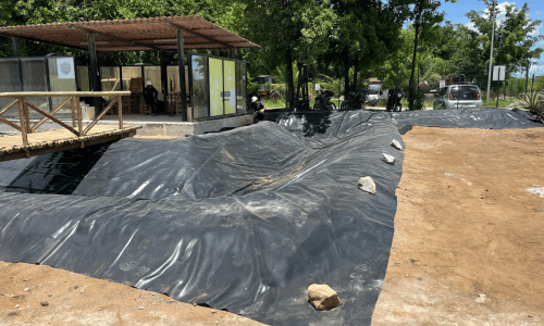 7168e63f9e3f4fff9a700b10bd5e794d