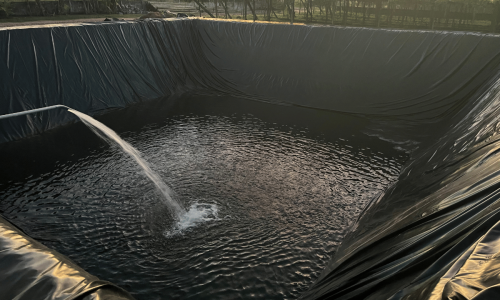 76afb3e50e4c438cbfdd7bed1b823ed2