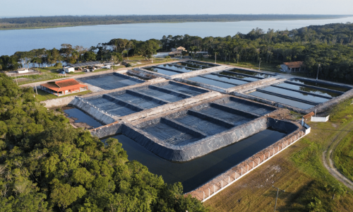 9b68fe5ed219425ebde83d99291c53fd