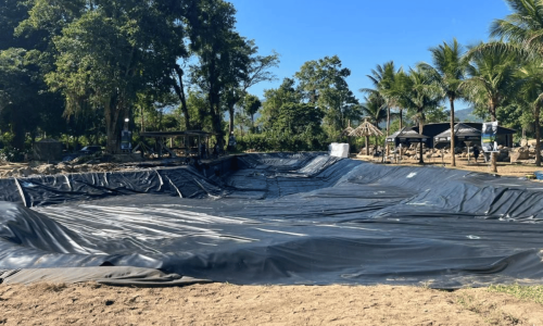 a44450f72c0a47e4b18b46251114b1cf