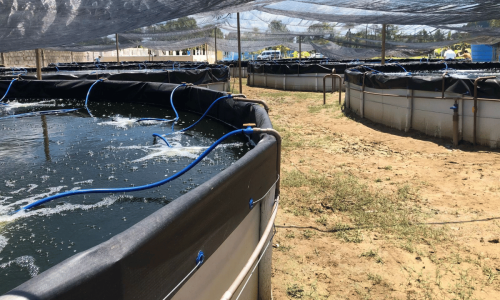 de377fe230b84014a2f2e73086b61dc8