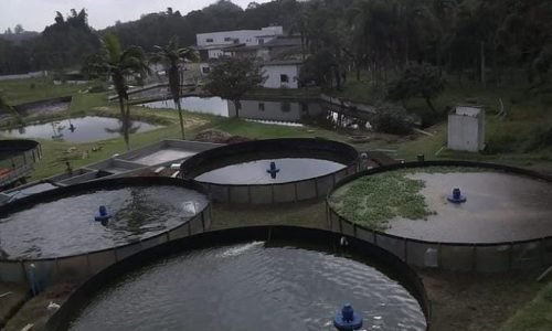 e39985b0add247918c6e3b4d6e97b2a5