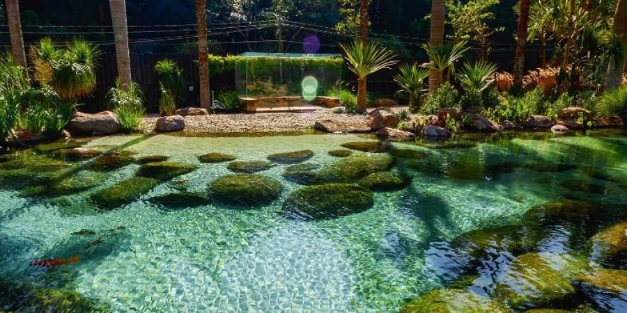 lago-ornamental-FelipeTitto